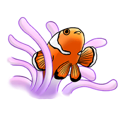 [LINEスタンプ] 毎日使えるお魚スタンプ！