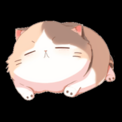 [LINEスタンプ] あんな猫やこんな猫1