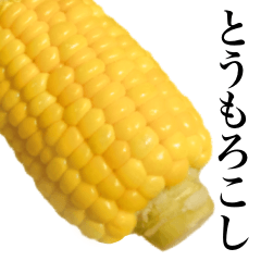 [LINEスタンプ] とうもろこし 野菜