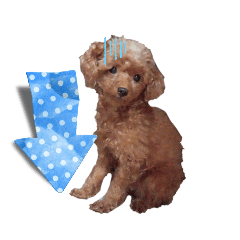 [LINEスタンプ] 年中使えちゃう