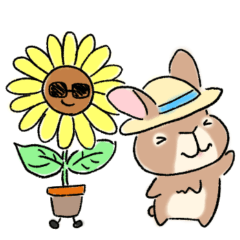 [LINEスタンプ] コウちゃんの夏