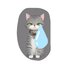 [LINEスタンプ] my BULAK cat