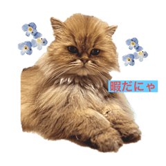 [LINEスタンプ] 前のより使いやすいやつ