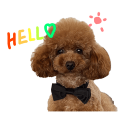 [LINEスタンプ] プティくんのかわちいスタンプ