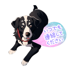 [LINEスタンプ] ポルちゃん Bernese Mountain Dog