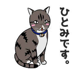 [LINEスタンプ] 猫のひーちゃん