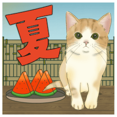 [LINEスタンプ] 夏やで！毎日使えるで☆関西モフ猫連合