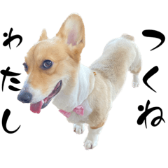 [LINEスタンプ] つくねちゃん詰め合わせ