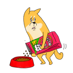 [LINEスタンプ] 聡明な柴犬