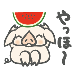 [LINEスタンプ] ぷーちゃんといっしょ アクティブな夏！