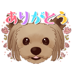 [LINEスタンプ] ヨーキー☆みおんのスタンプ