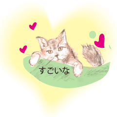 [LINEスタンプ] 色鉛筆の素描の猫達・