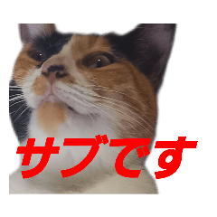[LINEスタンプ] 頑張れ たまさぶ君2