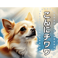 [LINEスタンプ] 【犬】神々しいチワワ