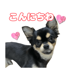 [LINEスタンプ] こんぶスタンプ2