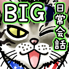 [LINEスタンプ] エジプシャンマウな猫④～☆日常会話＆BIG