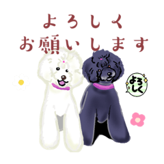 [LINEスタンプ] 白黒プードル姉妹