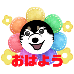 [LINEスタンプ] 魅惑のくまきち