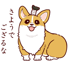 [LINEスタンプ] コーギーまるこの日常会話スタンプ4