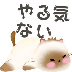 [LINEスタンプ] やる気の無いネコ①