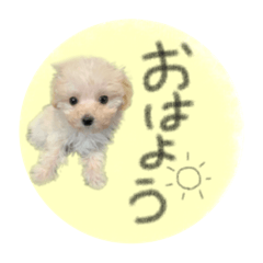 [LINEスタンプ] むむは可愛い。