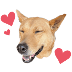 [LINEスタンプ] 嬉々❤︎