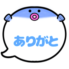 [LINEスタンプ] ふぐくん吹き出しスタンプ友人用友達用001