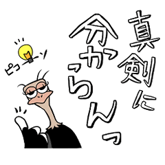 [LINEスタンプ] 使い所が分からないダチョウスタンプ