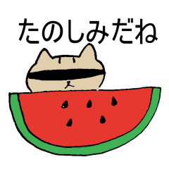 [LINEスタンプ] 夏のココロンジャー