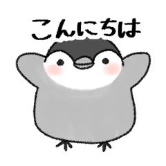 [LINEスタンプ] コウテイペンギンのベビーくん