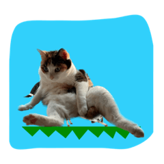 [LINEスタンプ] 森岡家の猫達