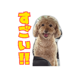 [LINEスタンプ] とーやま ルイくん