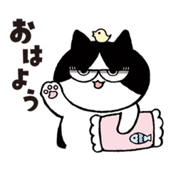 [LINEスタンプ] ハチワレ猫  チイちゃん vol.1