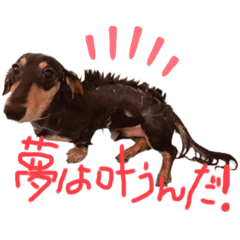 [LINEスタンプ] ゃぉぃの♡♡