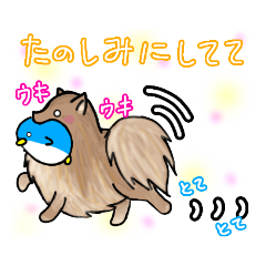 [LINEスタンプ] ポメラニアンちょろ太とペンギンぬいぐるみ