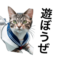 [LINEスタンプ] セーラーな子猫で会話