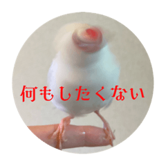 [LINEスタンプ] もちもちつくねスタンプ2