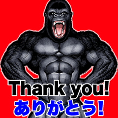 [LINEスタンプ] 筋肉マッチョゴリラ 英語＆日本語 Big