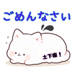 [LINEスタンプ] 日常で使える！敬語編。猫さんスタンプ