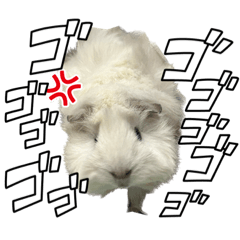 [LINEスタンプ] 政宗とぼんじり
