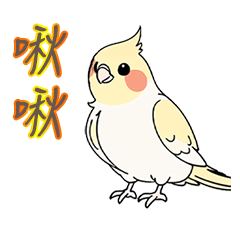 [LINEスタンプ] かわいいオカメインコとデートの会話