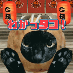 [LINEスタンプ] 飛び出す黒猫ハルとロビンのダジャレ2