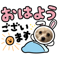 [LINEスタンプ] ポメチワのUruくん(4)の画像（メイン）