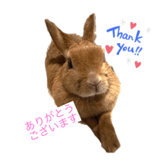 [LINEスタンプ] うさぎのティナちゃん2