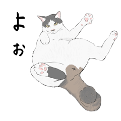 [LINEスタンプ] ウチのネコちゃん