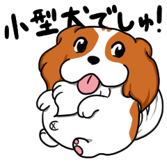 [LINEスタンプ] キャバリア≠たるリアのたるちゃん