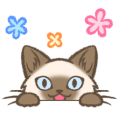 [LINEスタンプ] シャム猫のシャーコ3