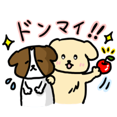 [LINEスタンプ] ゴールデン＆ボーダーコリーの日常スタンプ