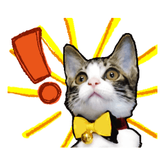 [LINEスタンプ] テコの応用スタンプたち