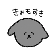 [LINEスタンプ] こたくんかわいいすたんぷ